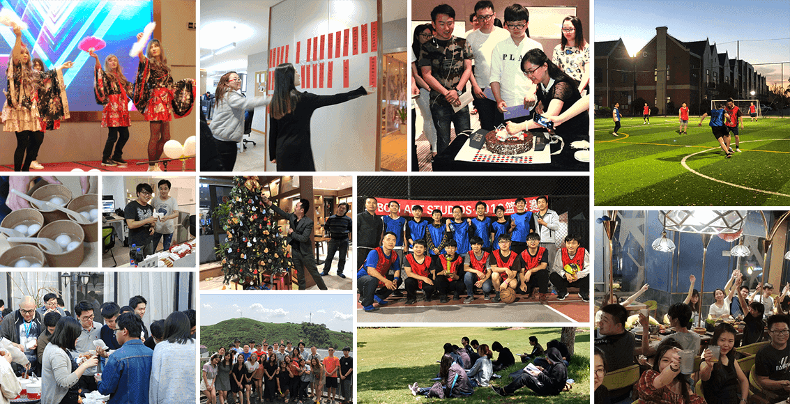 3003新葡的京集团风采